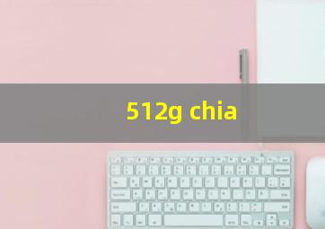 512g chia